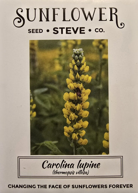 Carolina Lupine (Thermopsis Villosa)
